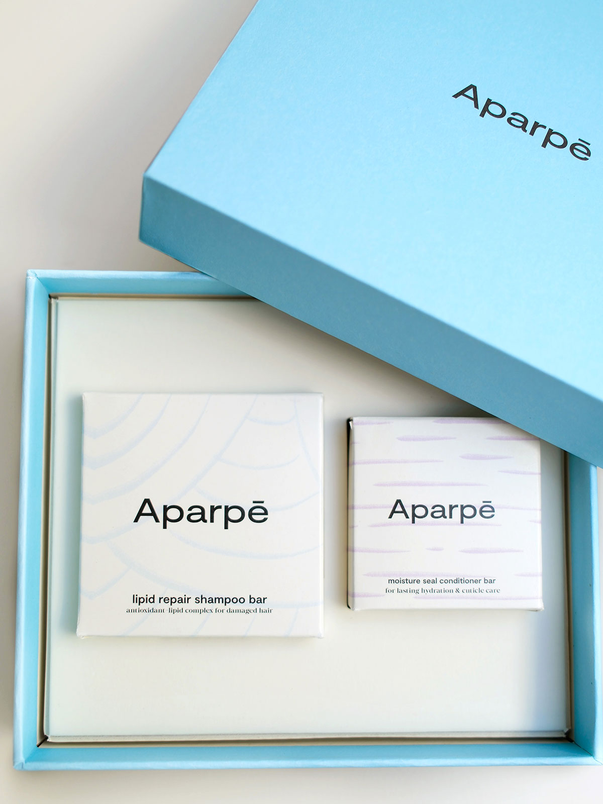 Lipid Repair Hair Duo